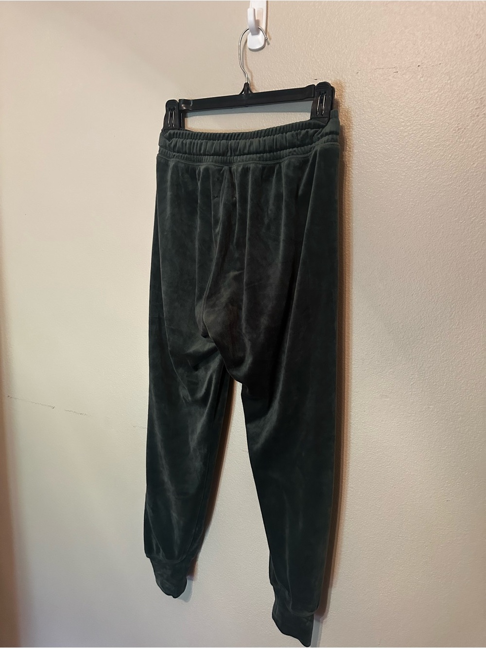 Brand New, aerie Olive Green Velour Lounge Pants